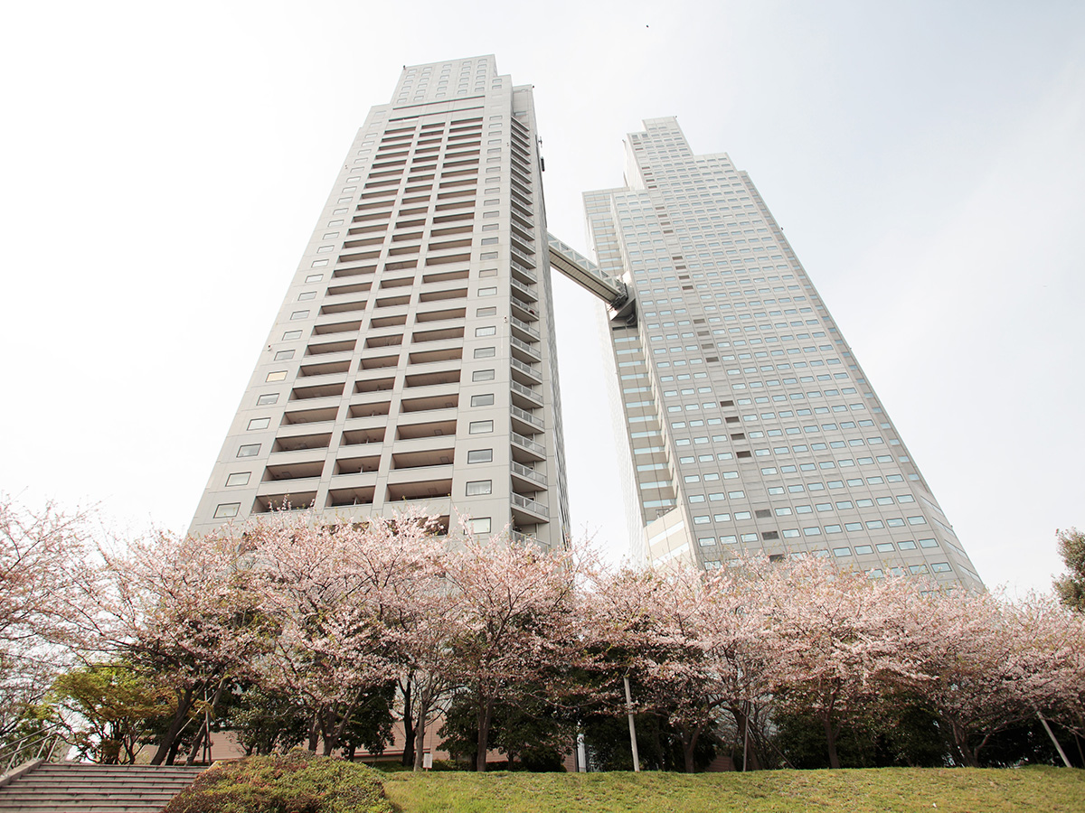 ホテル（聖路加タワー）と桜並木