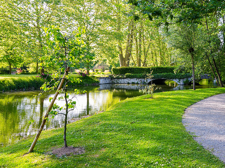 公園内の池と芝生（画像はイメージです）