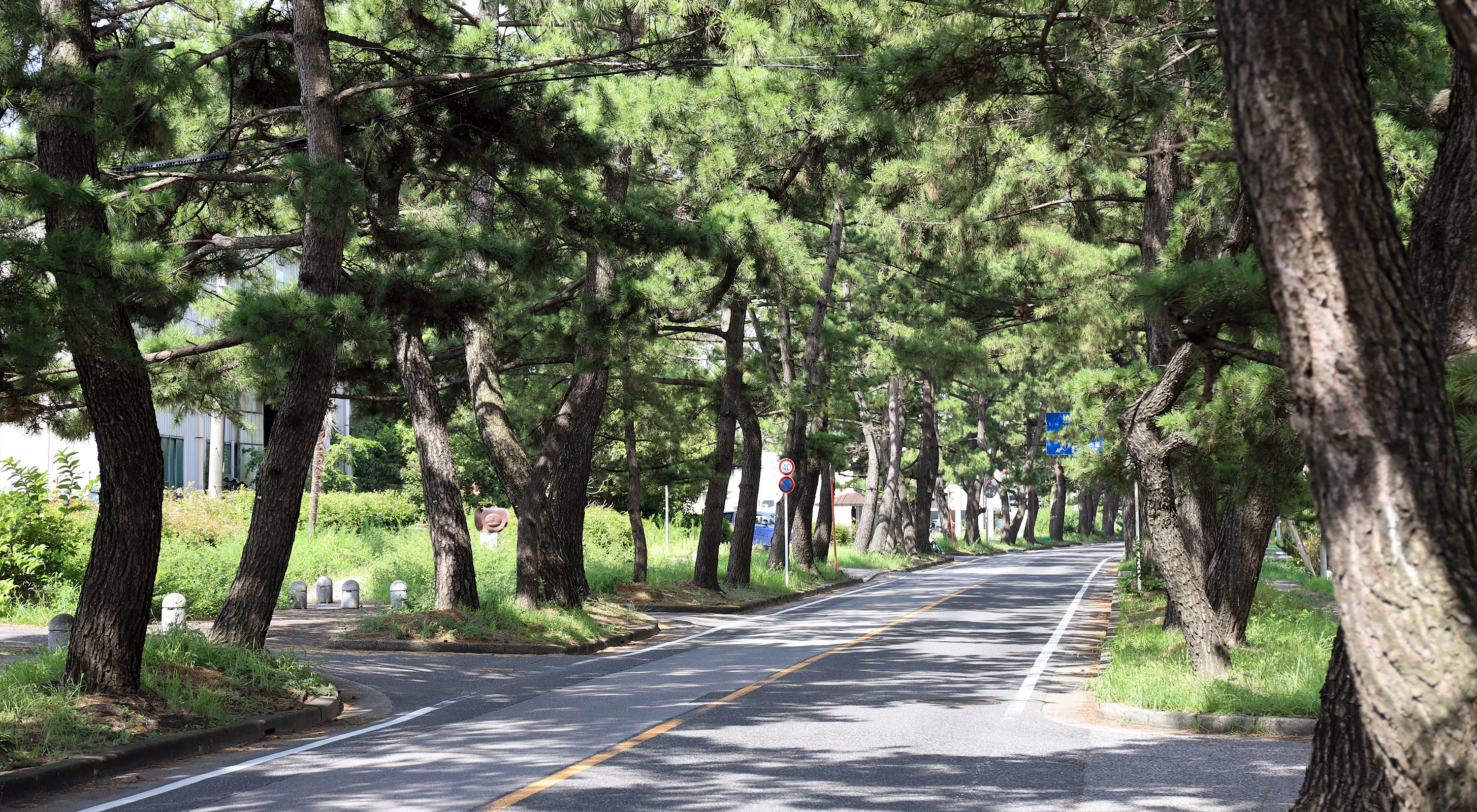 知立から名古屋・豊田へ知立から名古屋・豊田へイメージ