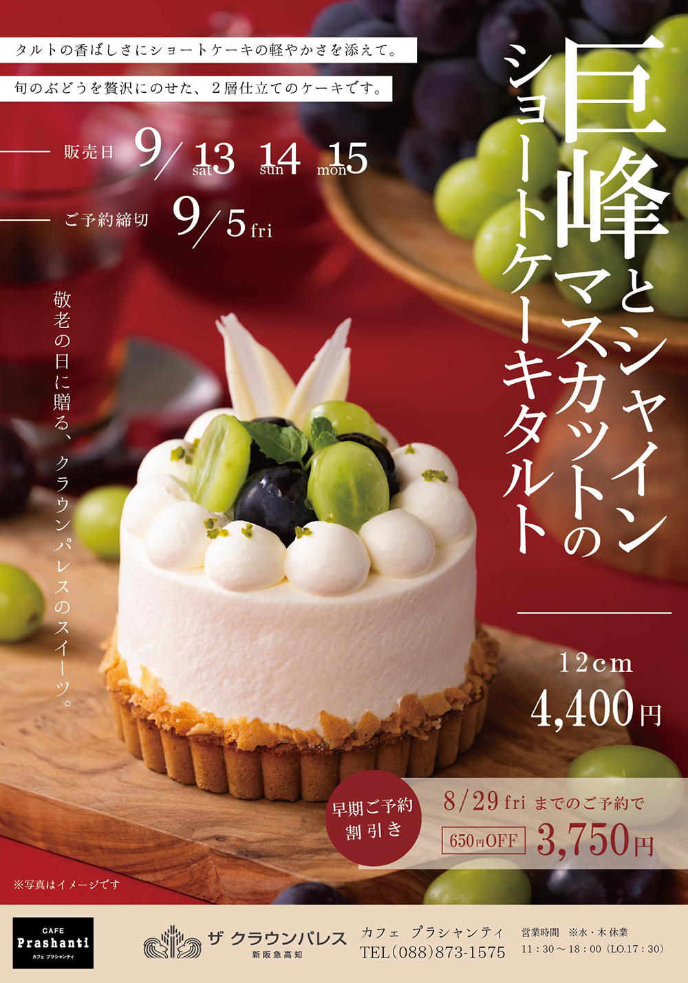 巨峰とシャインマスカットのショートケーキタルト