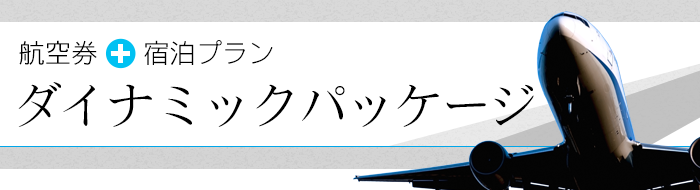航空券・高速バス乗車券＋宿泊プラン「ダイナミックパッケージ」