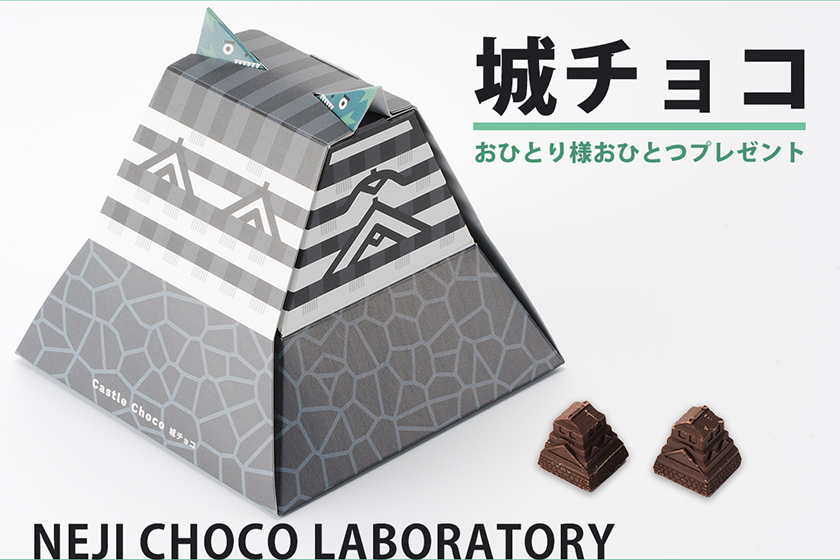 城チョコのお土産付きプランイメージ