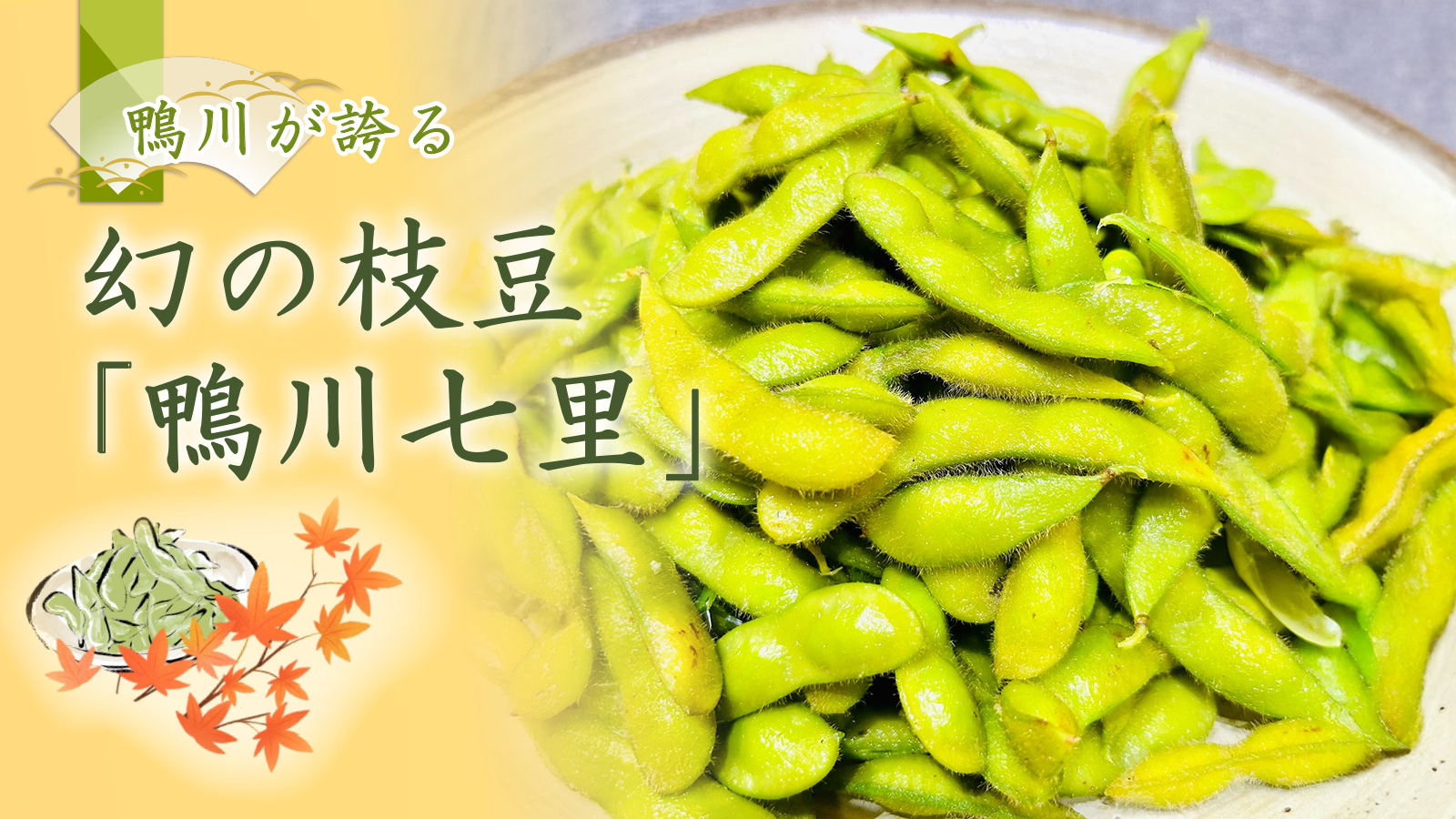 期間限定夕食バイキングメニュー 幻の枝豆「鴨川七里」