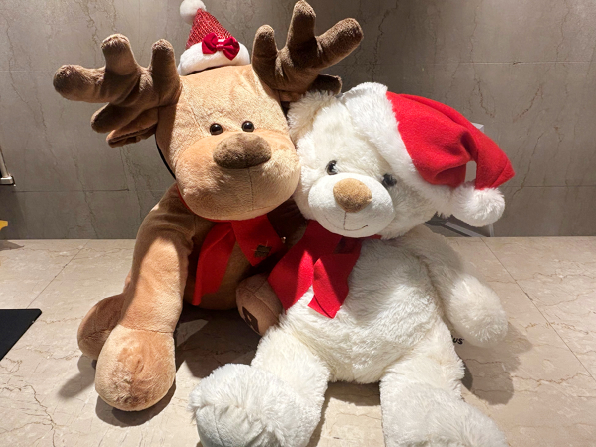 クリスマス装飾イメージ