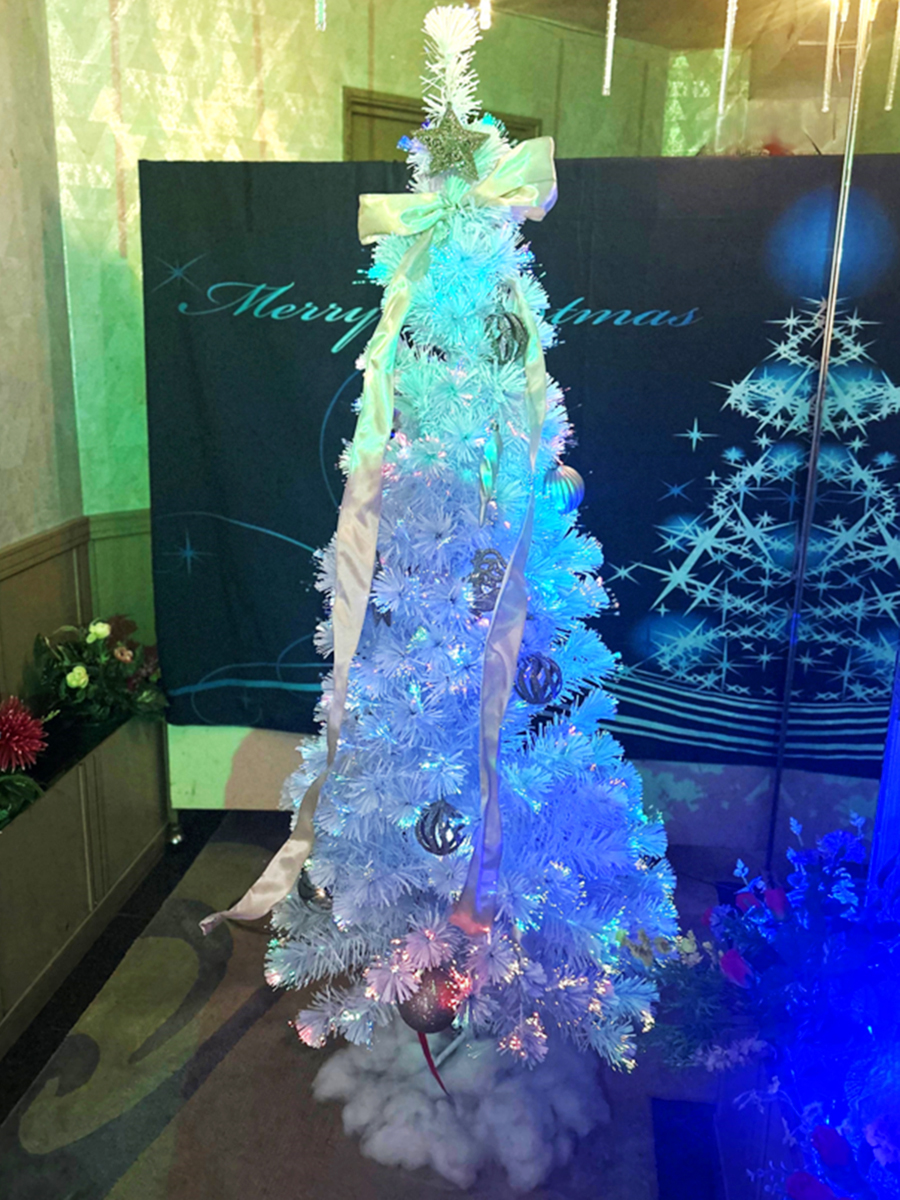 クリスマス装飾イメージ