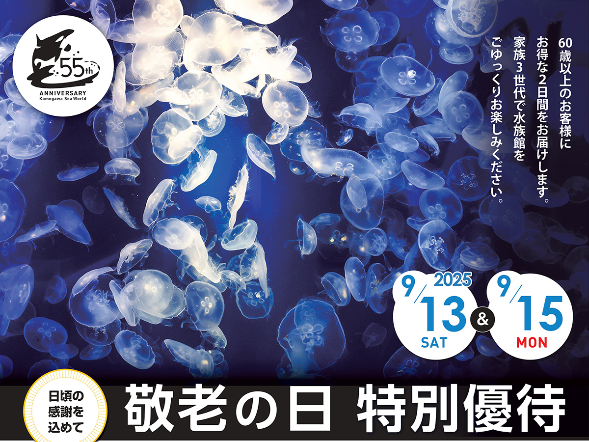 鴨川シーワールド敬老の日特別優待