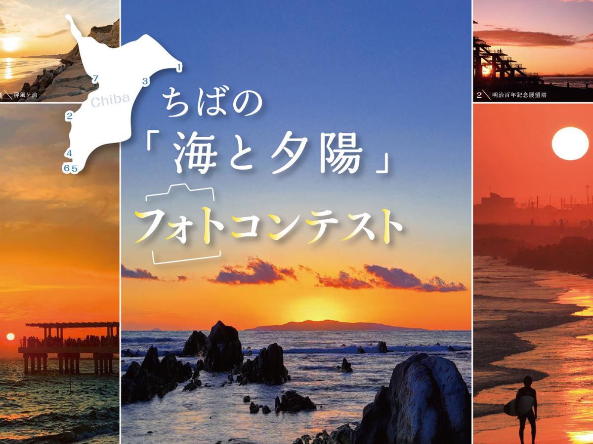 コスモスフェスタin市野川