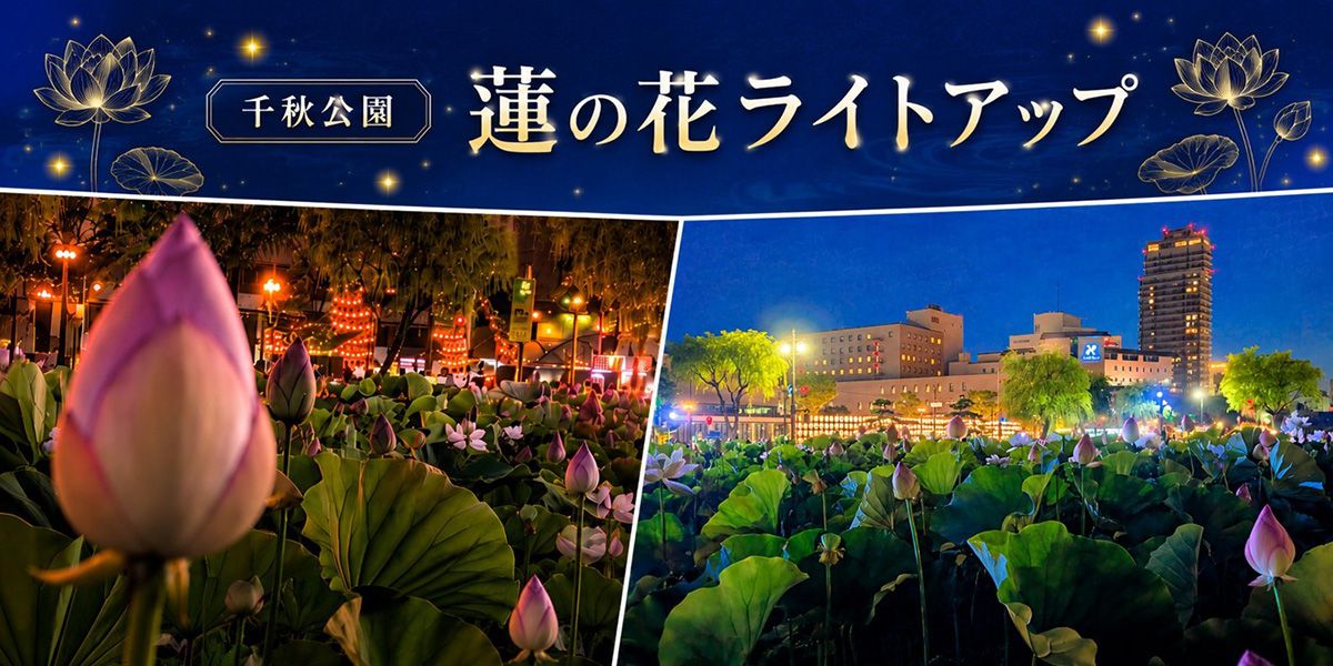 千秋公園蓮の花ライトアップ