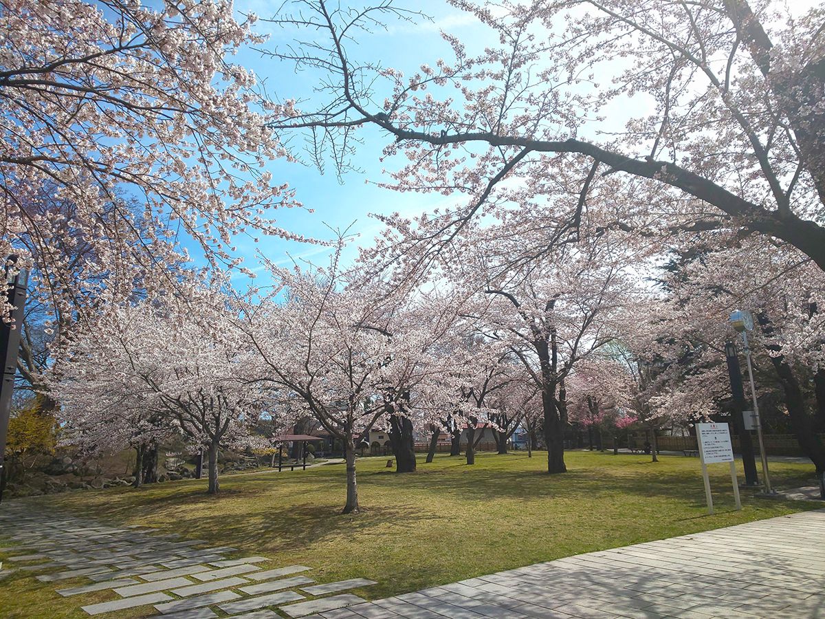 三八城公園写真