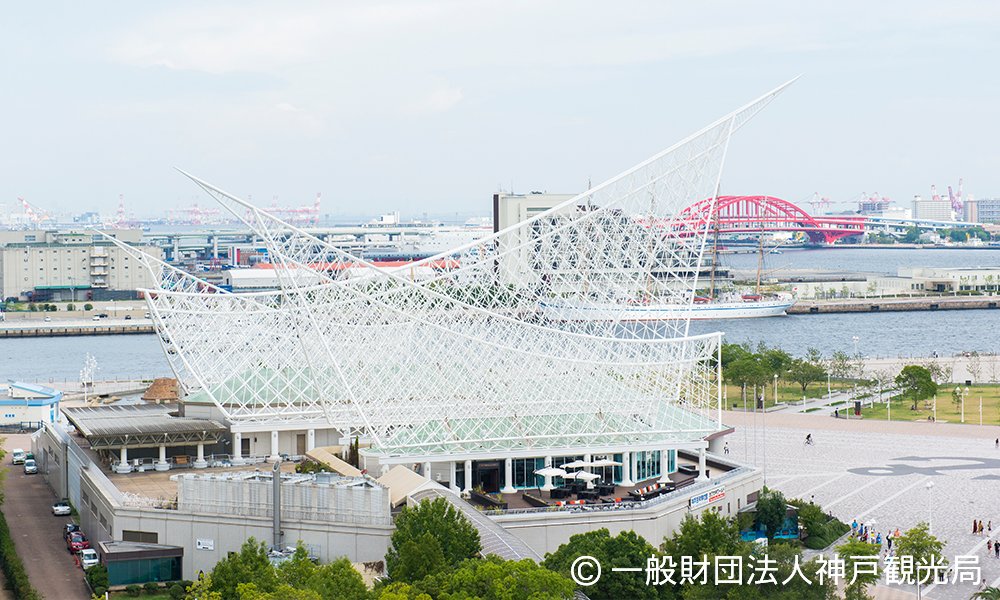 神戸海洋博物館イメージ