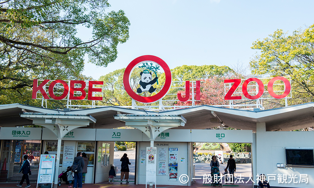 神戸市立王子動物園イメージ