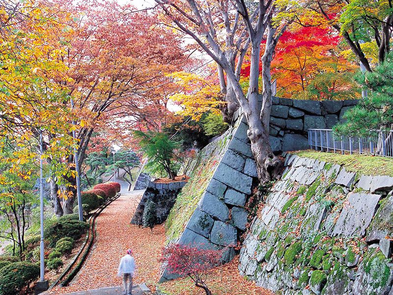 盛岡城跡公園の紅葉イメージ