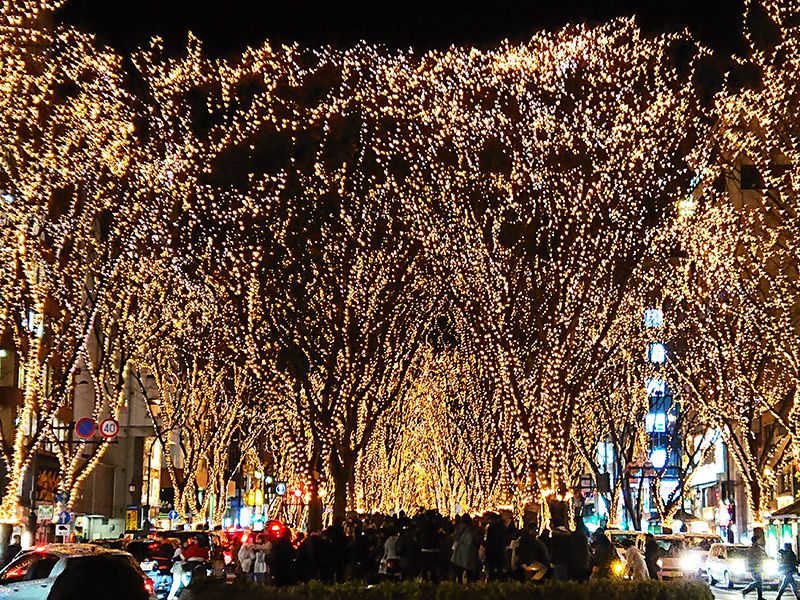 SENDAI光のページェント