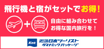 航空券＋宿泊プランのご紹介