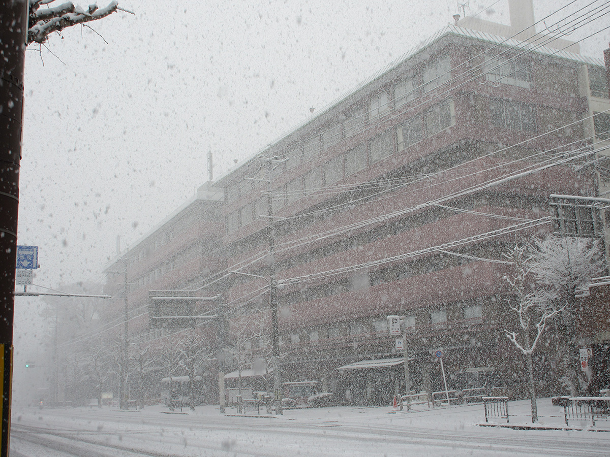 雪が積もるホテル周辺の様子