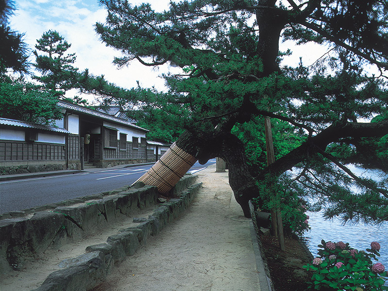 塩見縄手の武家屋敷