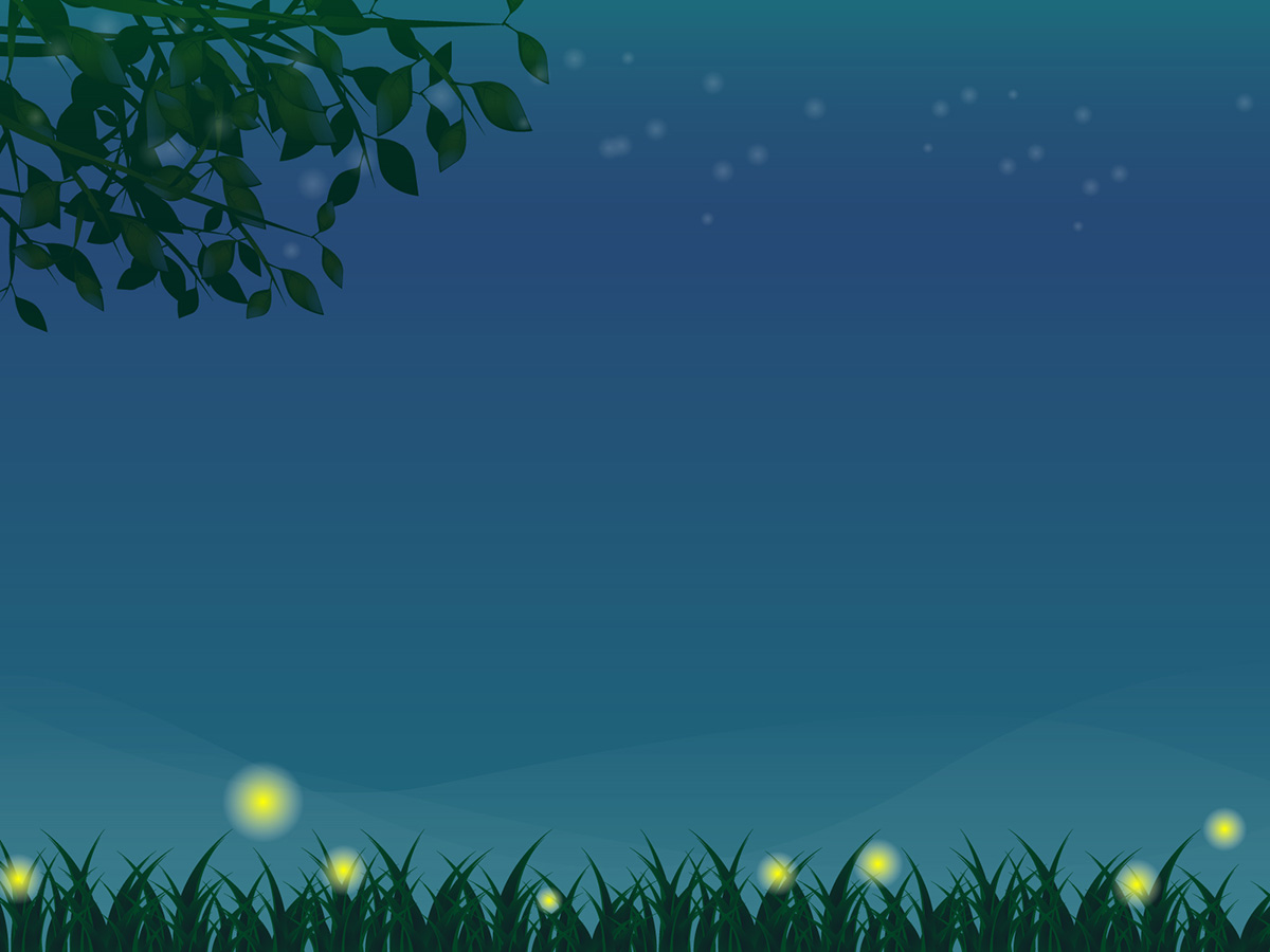 ほたるがとぶ夜のイメージ