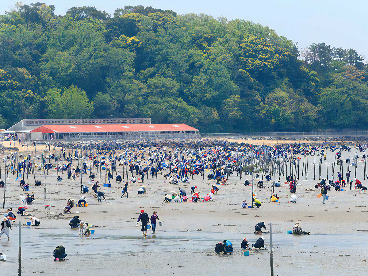 潮干狩り 東はず海岸・前島