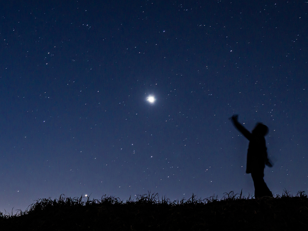 満天の星空を見上げるイメージ
