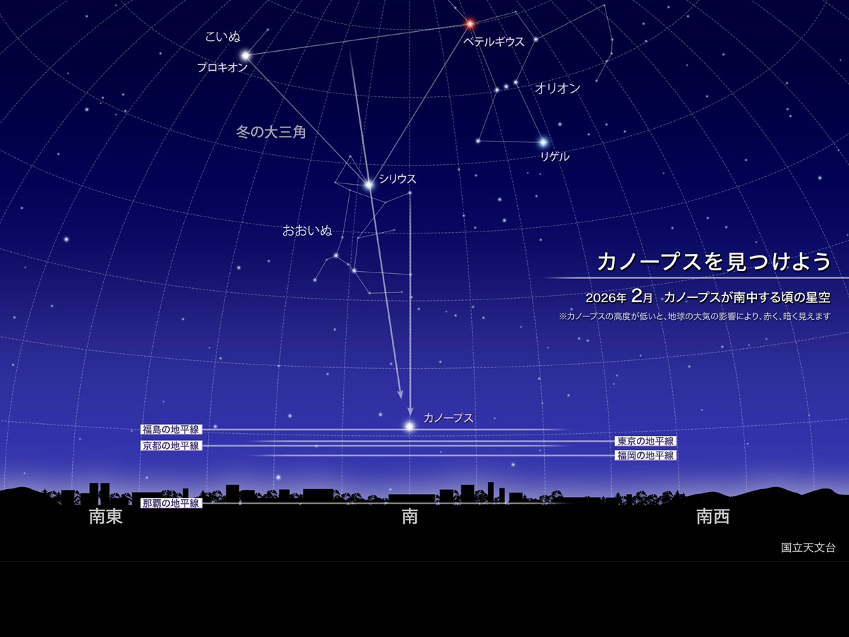 星座イメージ　国立天文台