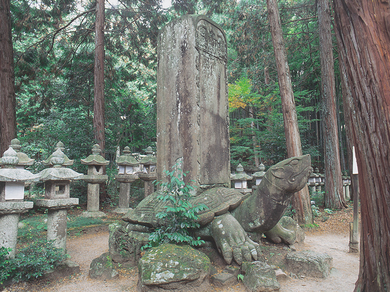 月照寺大亀