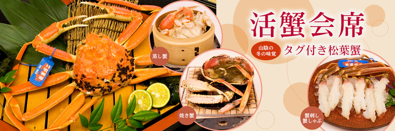 山陰の冬の味覚　タグ付き松葉蟹　活蟹会席