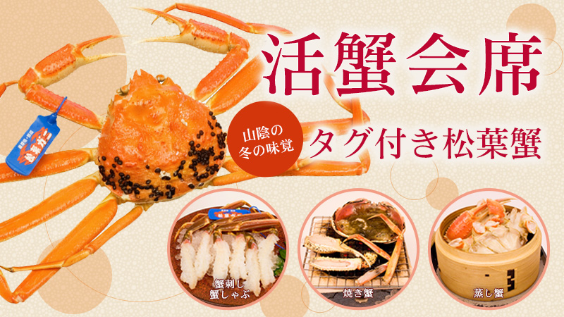 山陰の冬の味覚　タグ付き松葉蟹　活蟹会席