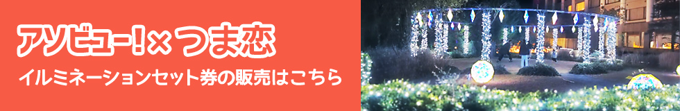 つま恋イルミネーション+アソビュー
