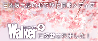 ウォーカープラス